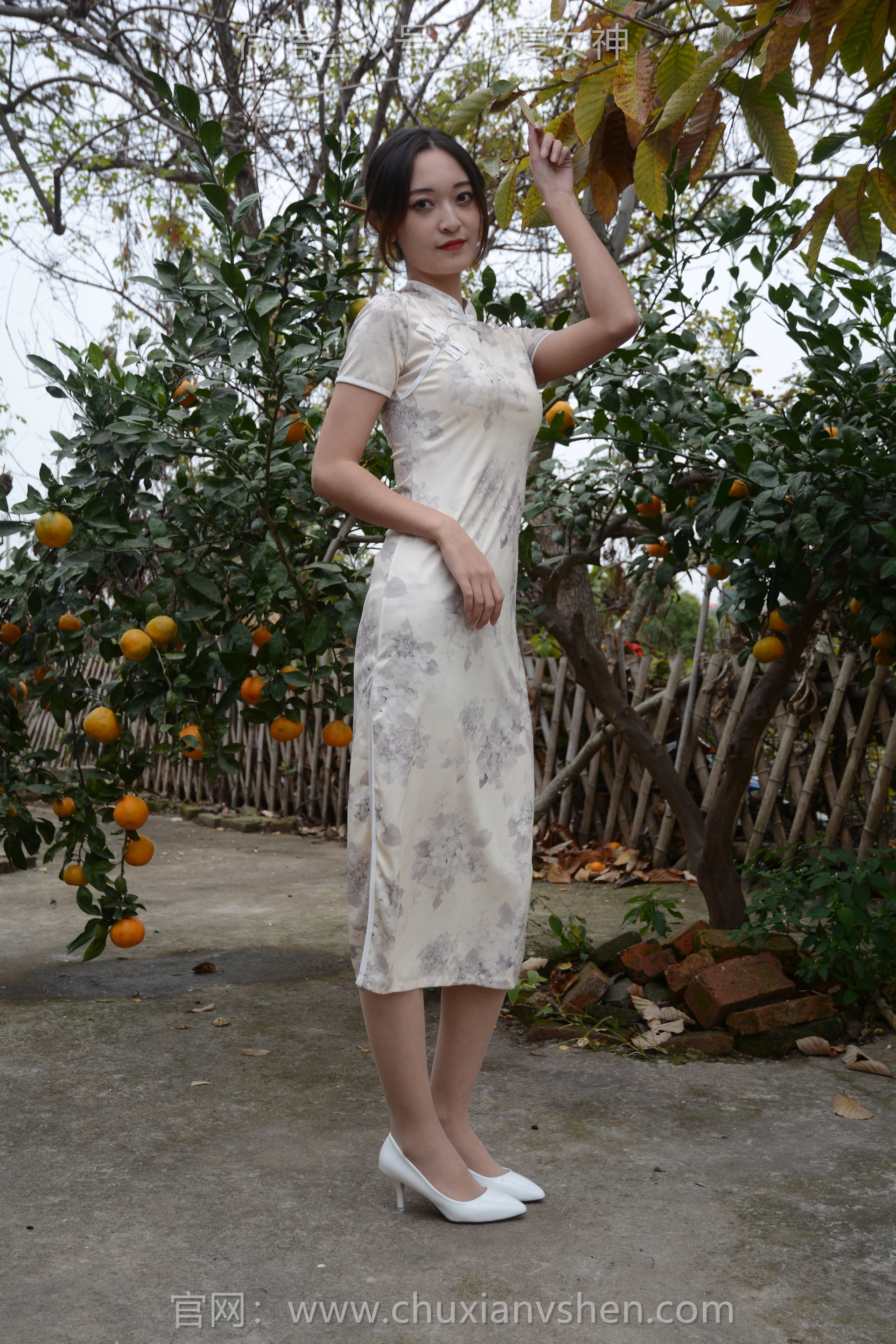 初夏女神 NO.120 依依 寒冬旗袍风 0